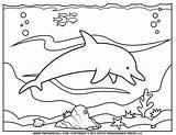 Coloring Dolphin Pages Printable Kids Print sketch template