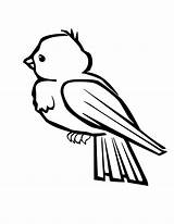 Coloring Birds Pages Printable Bird Bluebird Printables sketch template