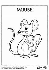 Mouse Coloring Kids Worksheet Worksheets Kidloland Pages Printable Printables Animals sketch template