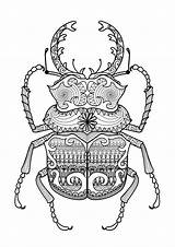Coloring Mandala Pages Zentangle Printable Animal Beetle Adult Book Bug sketch template