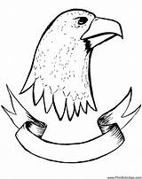 Eagle Coloring Drawing Head Pages Bald Kids Fourth July Draw Printable Eagles Man Getdrawings Colouring Library Clipart Template Patriotic Coloringhome sketch template