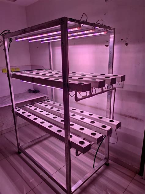 planter indoor setup  grow lights rise hydroponics