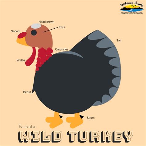 parts   turkey dickinson county conservation board