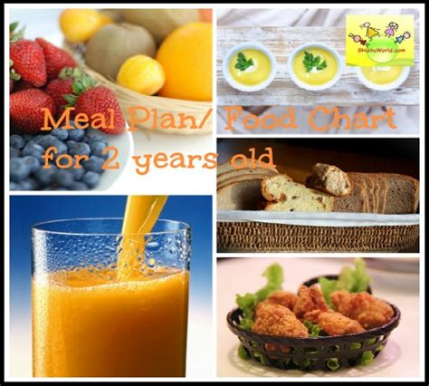 vegetarian food chart meal plan   year