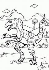 Coloring Velociraptor Pages Raptor Dinosaur Printable Color Print Getcolorings Getdrawings Colorings sketch template