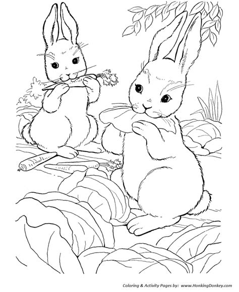 images  coloring pages  pinterest kids coloring pages