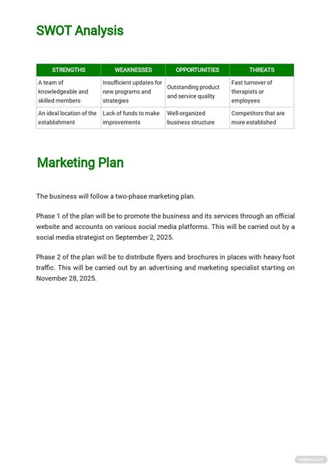 massage therapy business plan template [free pdf] word