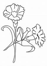 Coloring Carnation Flower Pages Flowers Printable Kids Color Print Scarlet Beautiful Getcolorings sketch template