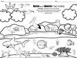 Biotic Abiotic Classroom sketch template