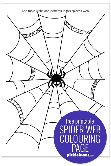 spider web colouring page  printable picklebums