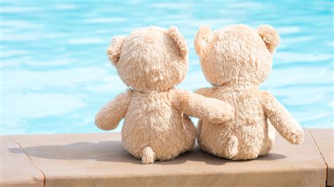 wallpaper  teddy bears toy friends  uhd  picture image