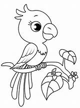 Papagei Papegaai Papegaaien Malvorlage Kleurplaten Papageien Ausmalbild Maak Parrot Persoonlijke sketch template