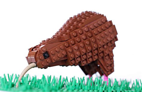 amazing bird models   simple lego bricks