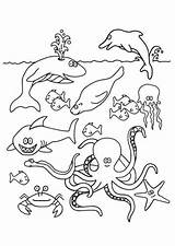 Vissen Kleurplaten Kleurplaat Ausmalbilder Poisson Fisch Coloriage Unterwassertiere Coloriages Vis Imprimer Colorier Tiere Kleurplaatjes sketch template