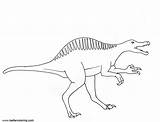 Spinosaurus Drawing Coloring Pages Easy Printable Kids Color sketch template