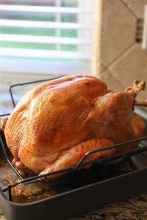 oven roasted turkey for beginners lauren s latest