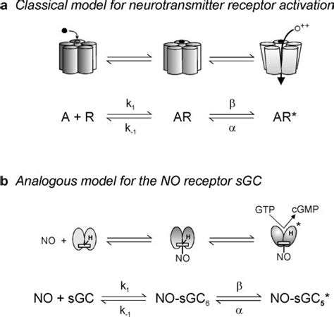 analogy   classical receptor model del castillo katz   scientific