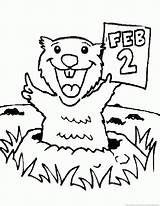 Woodchuck Groundhog sketch template