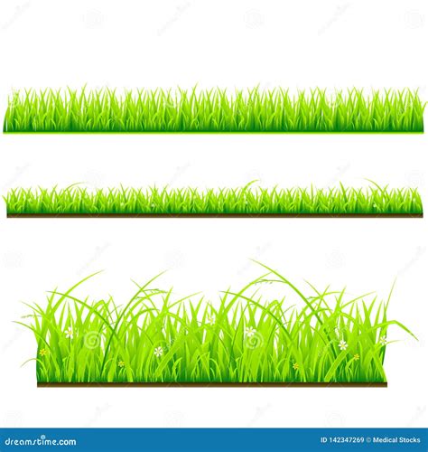 fresh grass vector template stock illustration illustration