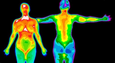 test your knowledge of body temperature