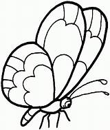 Butterflies Flying sketch template