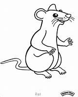 Rat Coloring Pages Cartoon Rats Outline Drawing Gerbil Lab Color Mouse Print Printable Coloringbay Getcolorings Getdrawings sketch template