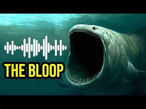 bloop   mysterious underwater sound recorded