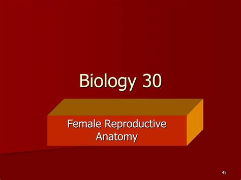 ppt biology 30 human reproduction and development powerpoint