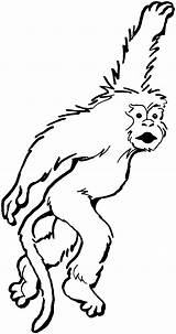 Monkey Coloring Pages Swinging Monkeys sketch template