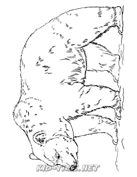 grizzly bear coloring pages  kids time fun places  visit