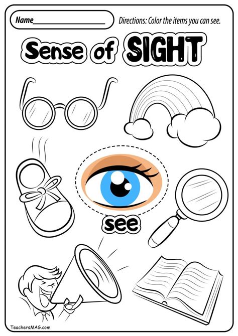 senses worksheets teachersmagcom