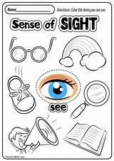 Senses Worksheet Worksheets Teachersmag Seeing sketch template
