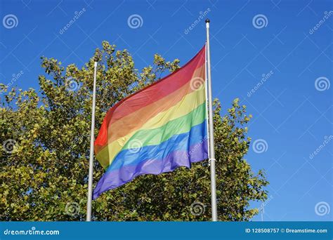 a rainbow lgbt flag stock image image of party lgbt 128508757