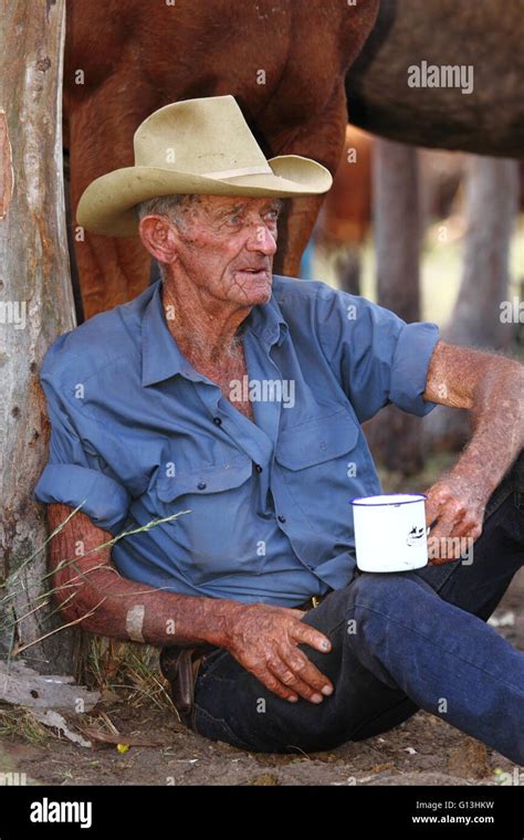 older cattleman cowboy      rest   tree