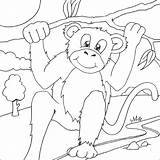 Monkey Coloring Pages Zoo Animal Kids Animals Print Baby Printable Book Di Orangutans Children Amazing Colouring Gif Visit Kid 2486 sketch template