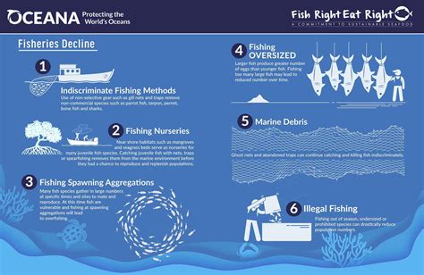 sustainable fishing methods  oceana ambergris caye belize message board
