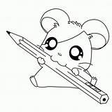Kawaii Animales Animais Fofinhos Faciles Descargar Animalitos Drawings Fofos Stefania Desenhosparacolorir Raton Facil Desenhar sketch template