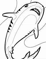 Requin Tigre sketch template