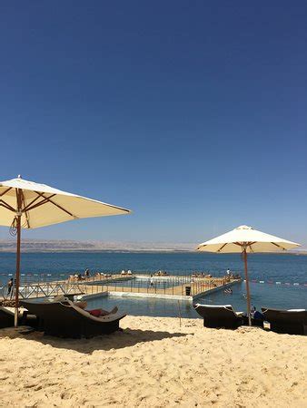 hilton dead sea resort spa jordan reviews  price