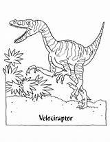 Kleurplaten Velociraptor Dinosaurus Paradijs sketch template