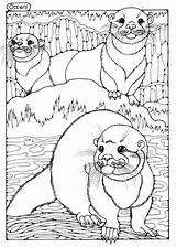 Coloring Animals Pages Sea Printable Animal Otters Colouring Otter Dandi Colour Adult Visit Baby Kids Sheets sketch template