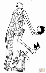 Madagascar Melman Coloring Pages Giraffe Printable Colouring Drawing Cartoons Cartoon Color Gloria Alex Drawings Crafts Marty Hippopotamus Silhouettes Easy Tutorial sketch template