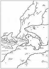 Orca Lars Colorkid Colorare Ursinho Pages Plume Ours Polaire Osito Pequeno Urso Malvorlagen Gespeichert Colorat Planse Coloriages sketch template