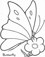 Trace Mariposas Infantiles Butterflies 1260 Pintadas Abrir sketch template