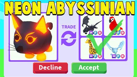 trading  neon abyssinian cat  adopt  youtube