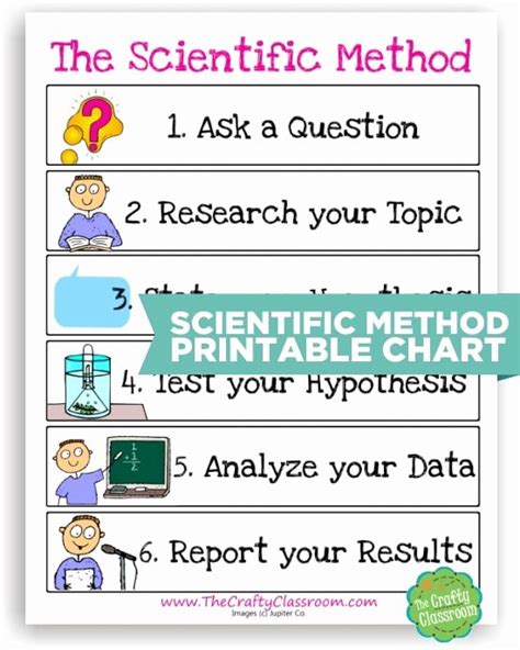 scientific method worksheet  grade
