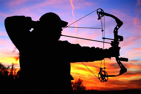 stricter bow hunting ban  tuscaloosa alabama public radio