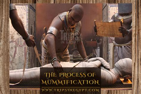 Ancient Egyptian Mummification Process Facts And Beliefs