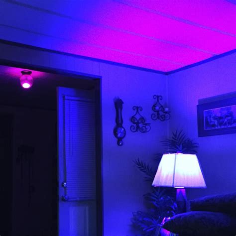 illuminate  home  philips hue  netgear nighthawk router    buy