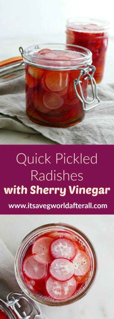quick pickled radishes  sherry vinegar   veg world